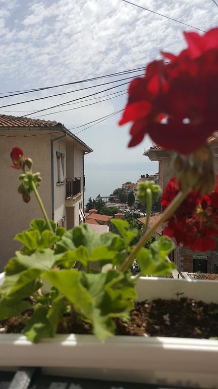 Villa Srma Οχρίδα Δωμάτιο φωτογραφία